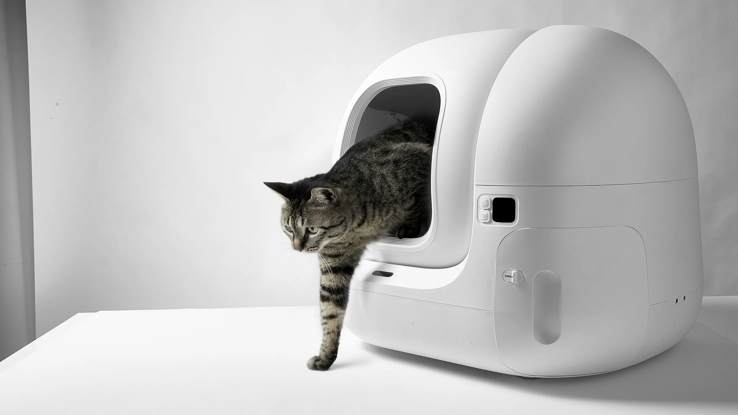 Gatto che esce da una lettiera PETKIT