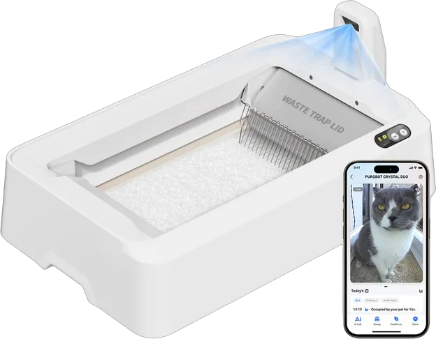 PUROBOT CRYSTAL DUO con IA