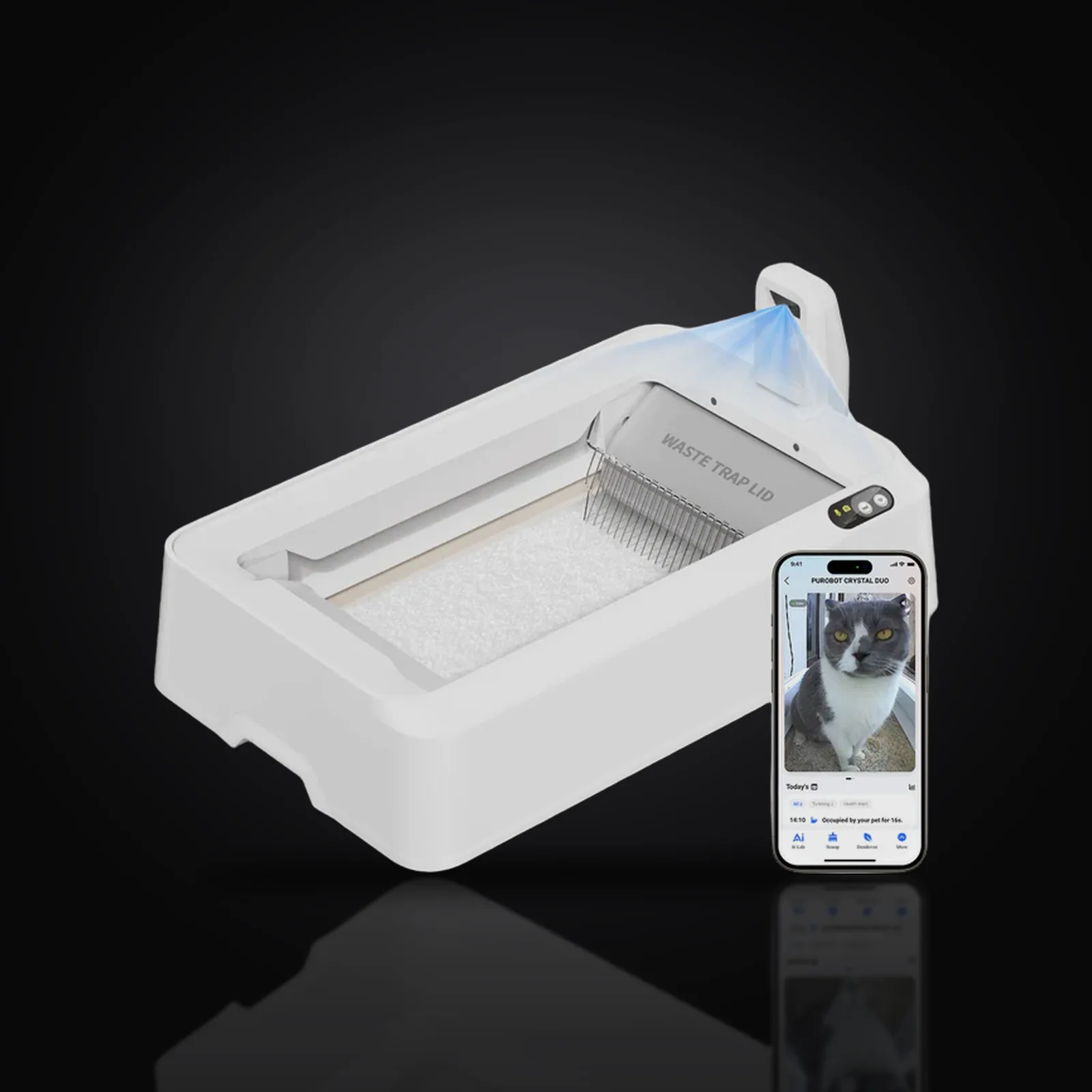 PUROBOT CRYSTAL DUO con IA — immagine 2